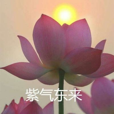 碧空战纪手游官方版下载